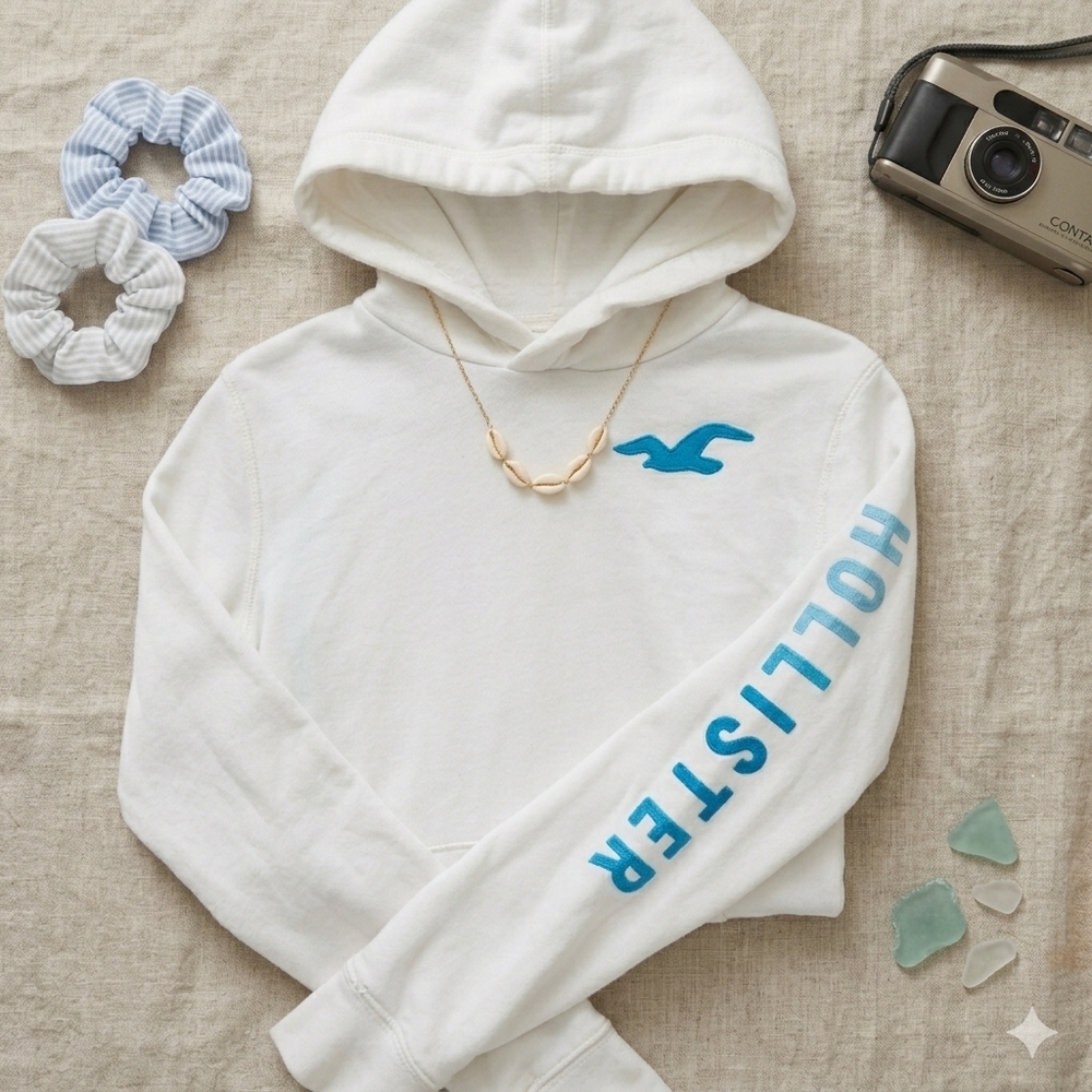 Hollister White Pullover Hoodie Blue Seagull Logo Spellout Sleeve Size Medium